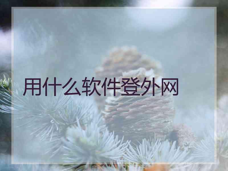 用什么软件登外网