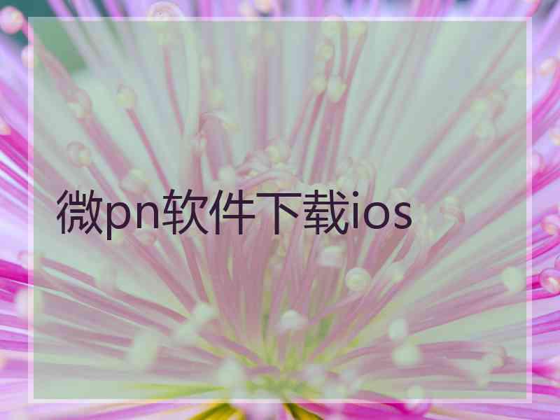 微pn软件下载ios