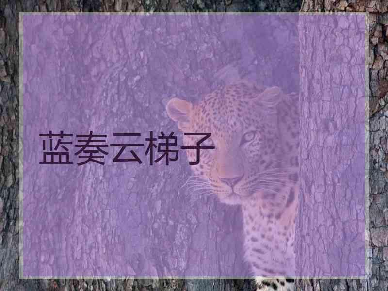 蓝奏云梯子