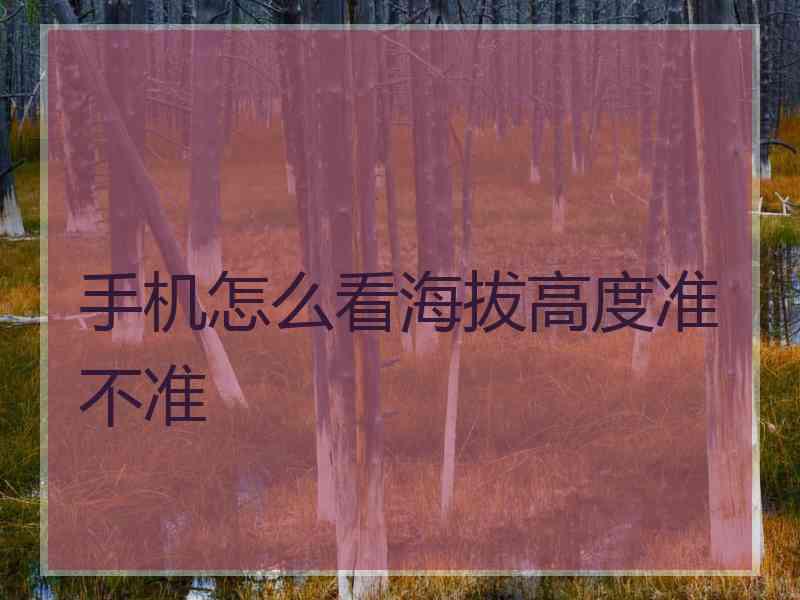 手机怎么看海拔高度准不准