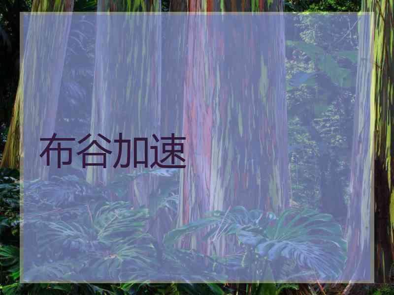 布谷加速
