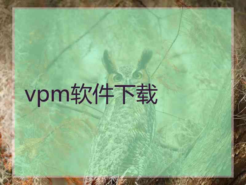 vpm软件下载