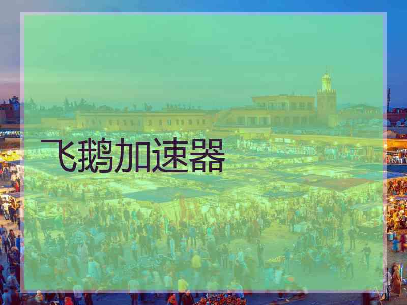 飞鹅加速器
