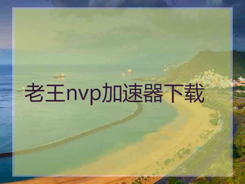 老王nvp加速器下载
