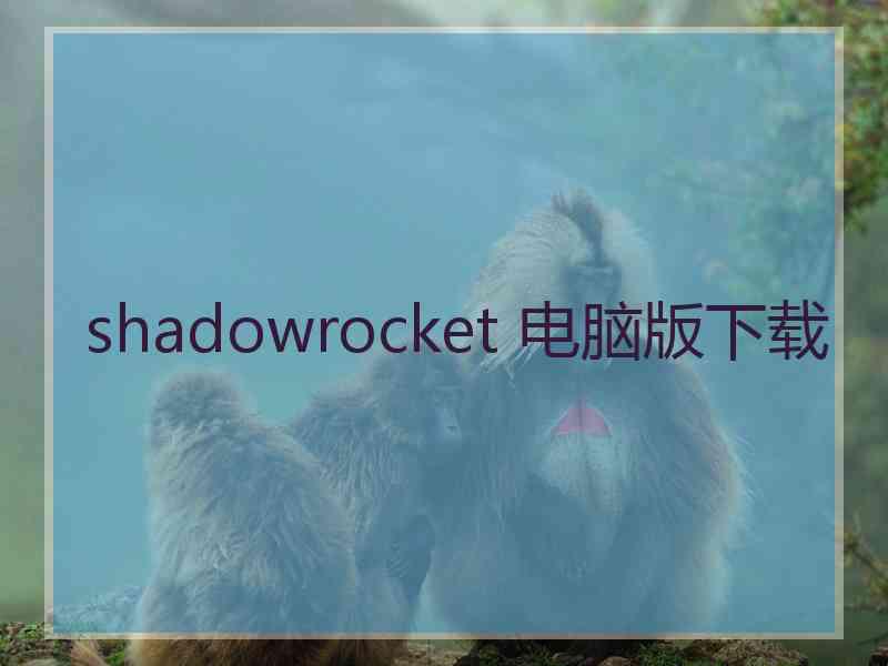 shadowrocket 电脑版下载