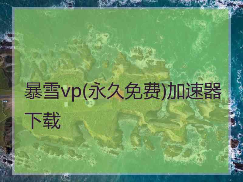 暴雪vp(永久免费)加速器下载