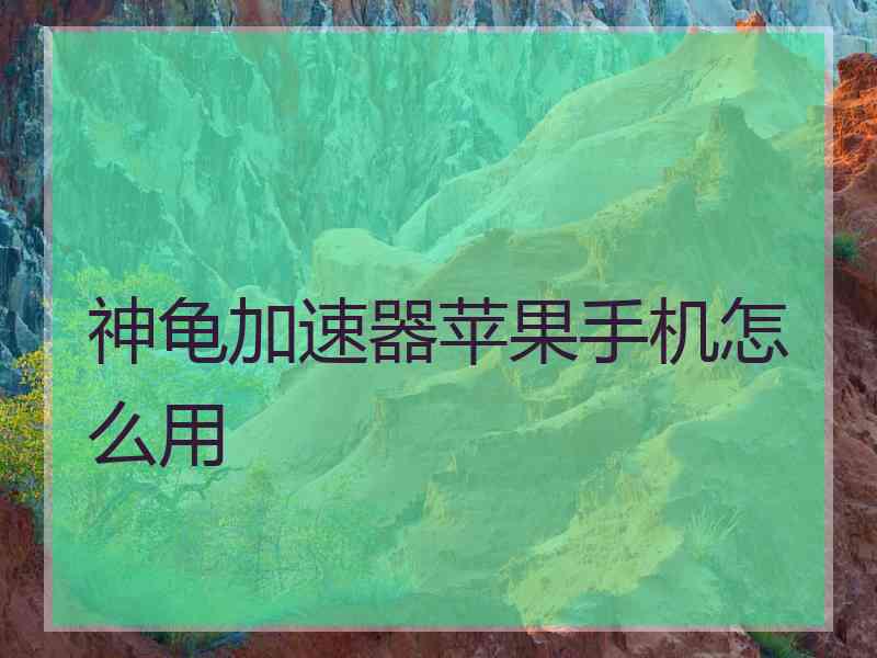 神龟加速器苹果手机怎么用