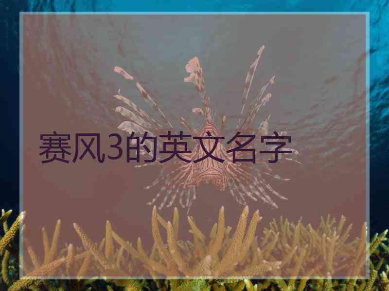 赛风3的英文名字