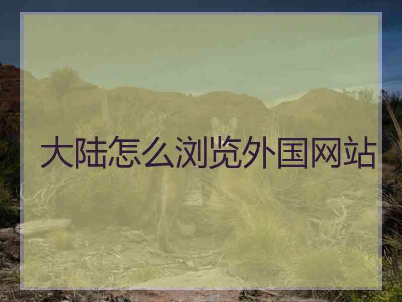 大陆怎么浏览外国网站