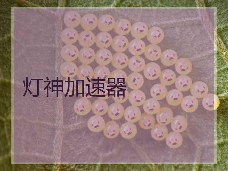 灯神加速器