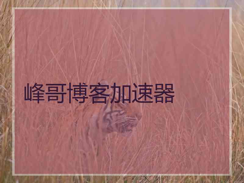 峰哥博客加速器