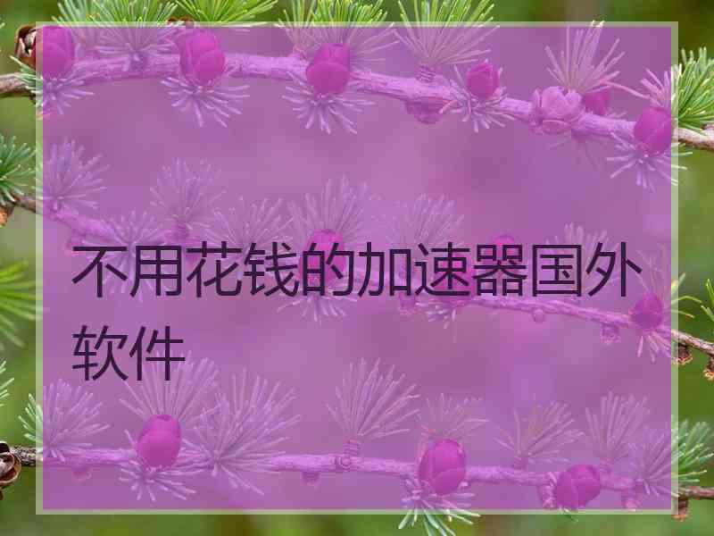 不用花钱的加速器国外软件