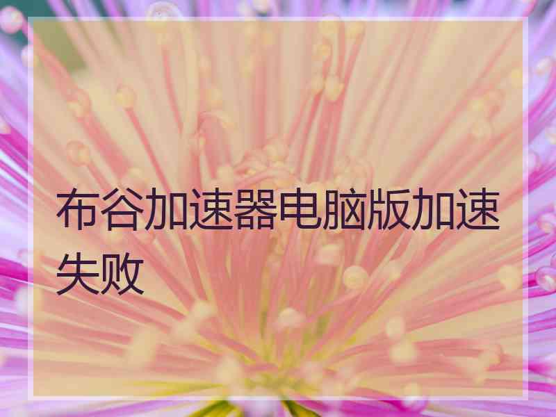 布谷加速器电脑版加速失败