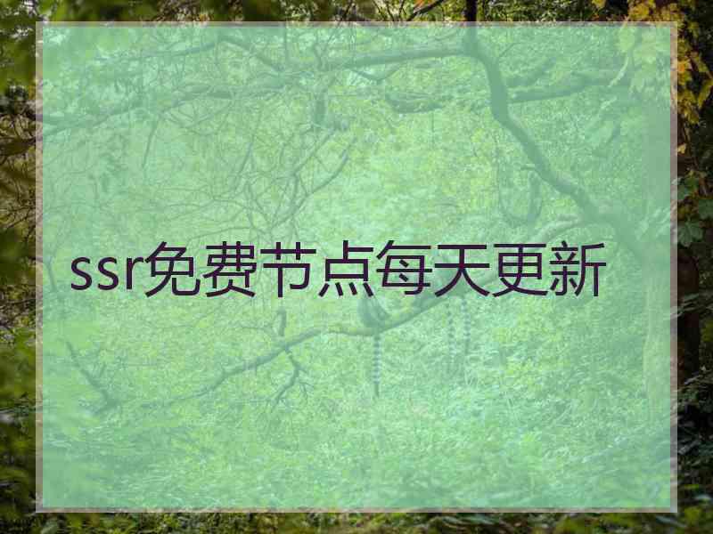 ssr免费节点每天更新