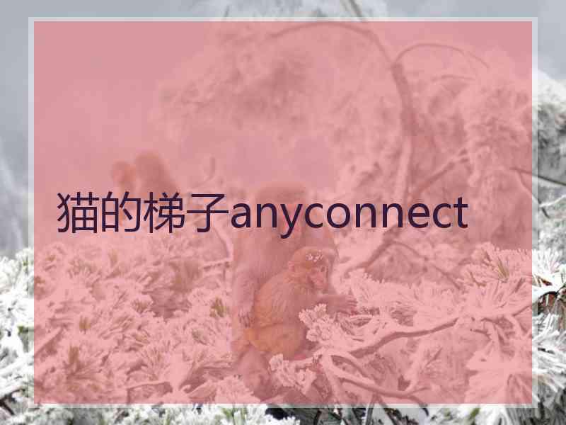 猫的梯子anyconnect