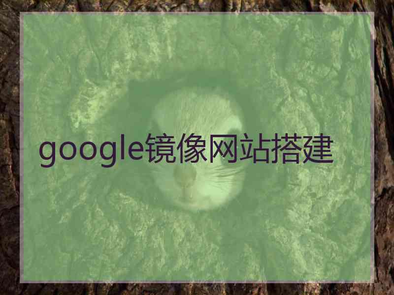 google镜像网站搭建