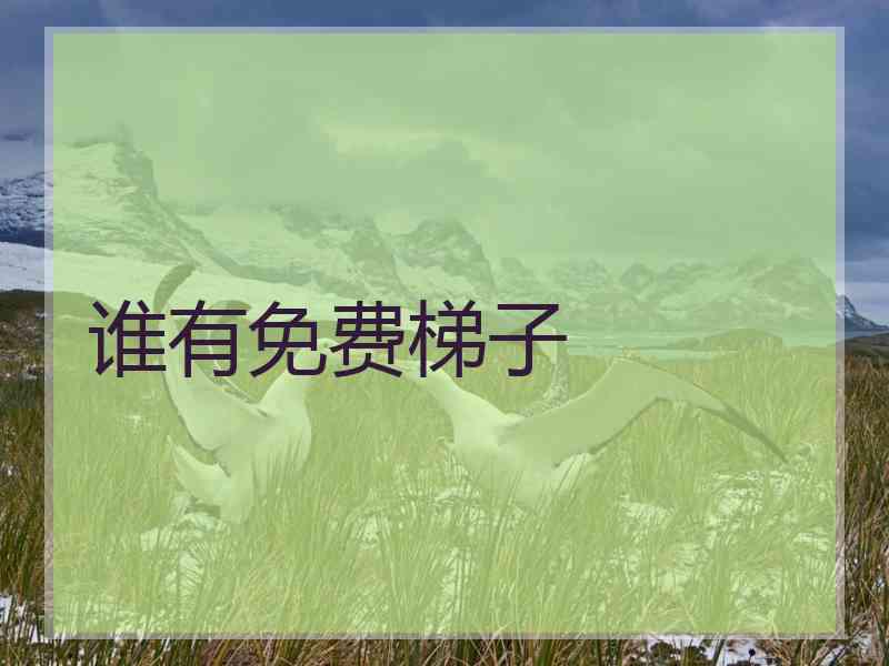 谁有免费梯子