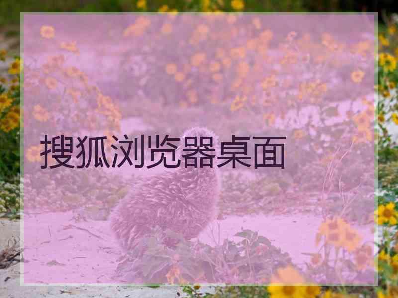 搜狐浏览器桌面