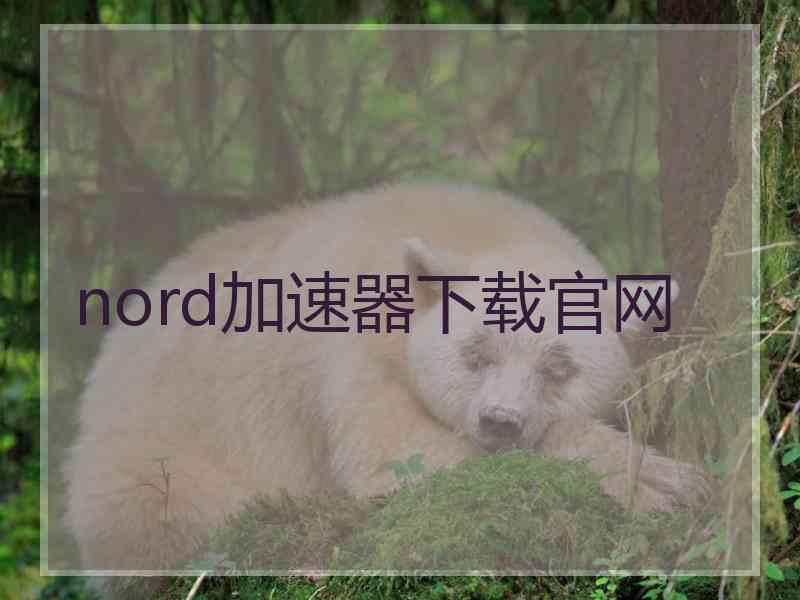 nord加速器下载官网