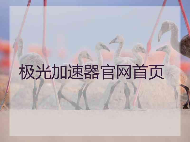极光加速器官网首页