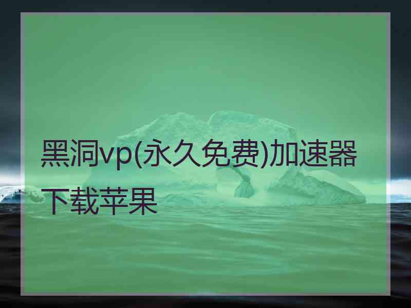 黑洞vp(永久免费)加速器下载苹果