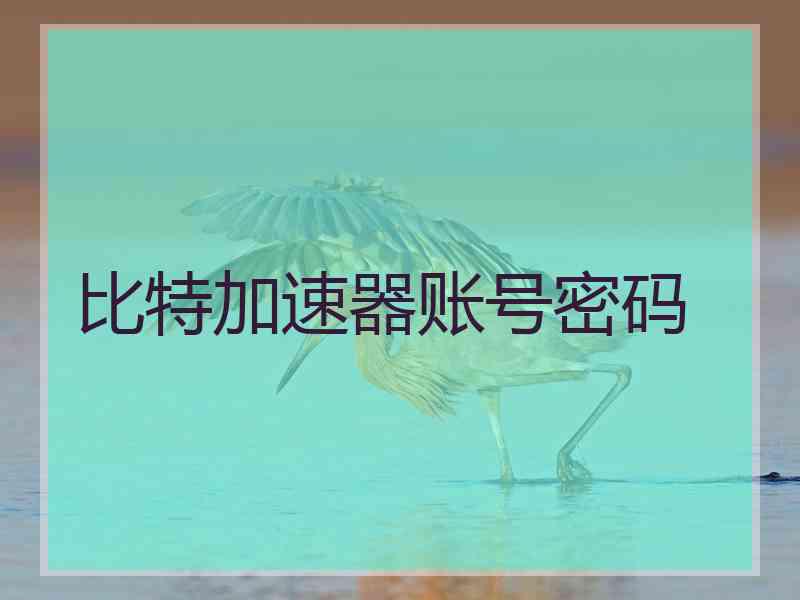 比特加速器账号密码