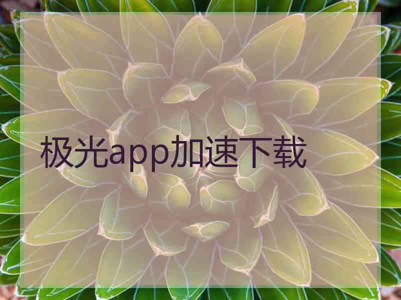 极光app加速下载