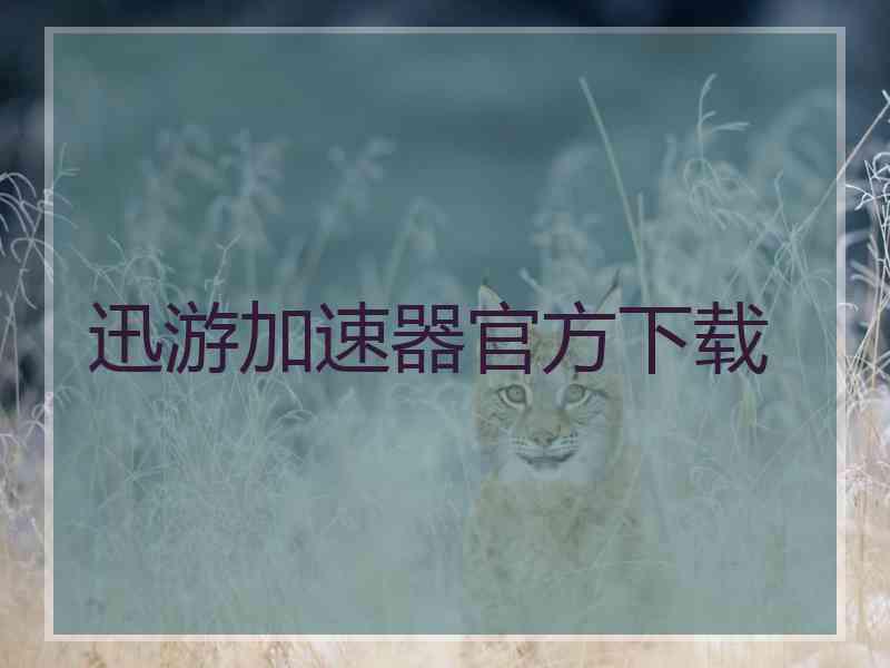 迅游加速器官方下载