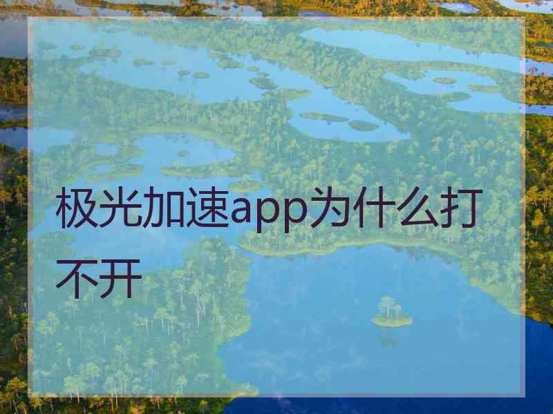 极光加速app为什么打不开