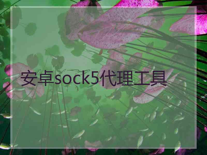 安卓sock5代理工具