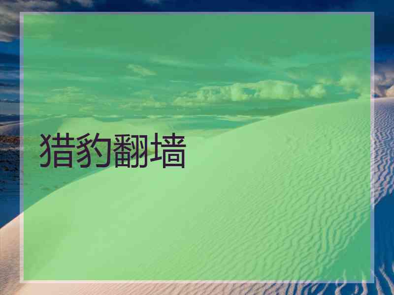 猎豹翻墙