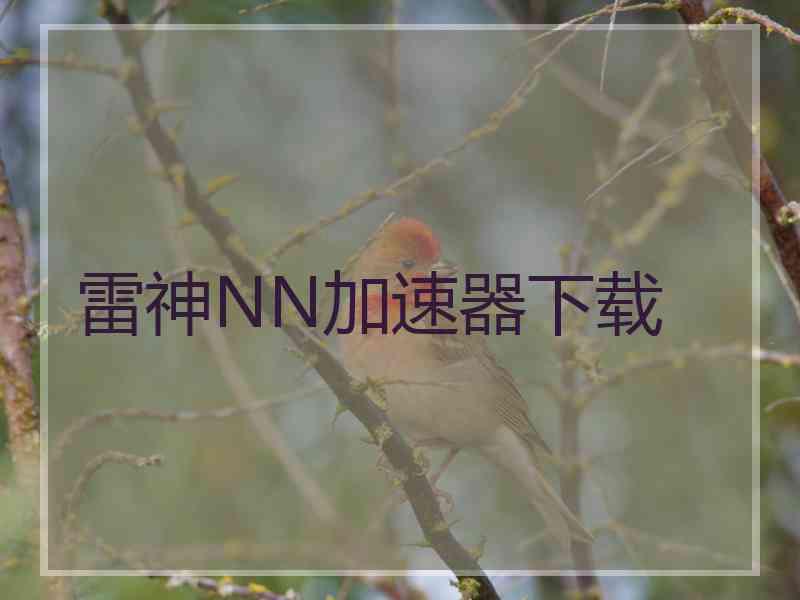雷神NN加速器下载