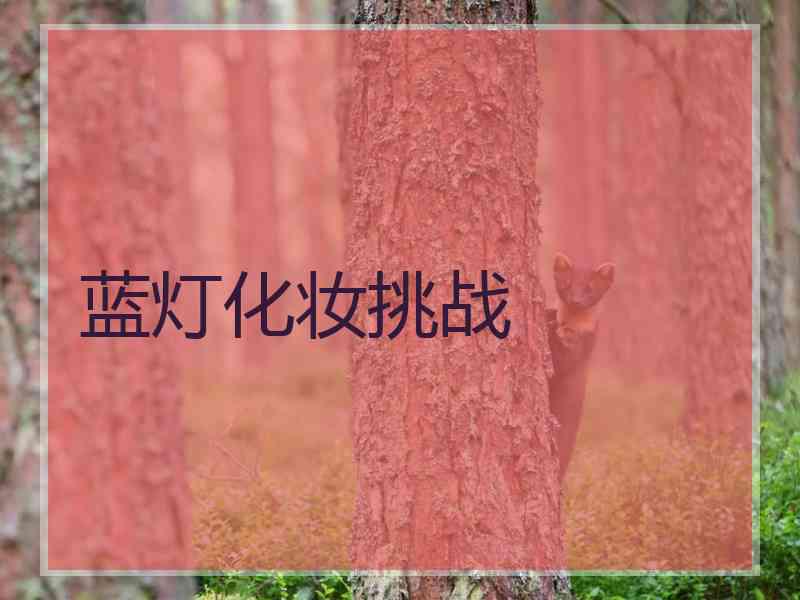 蓝灯化妆挑战