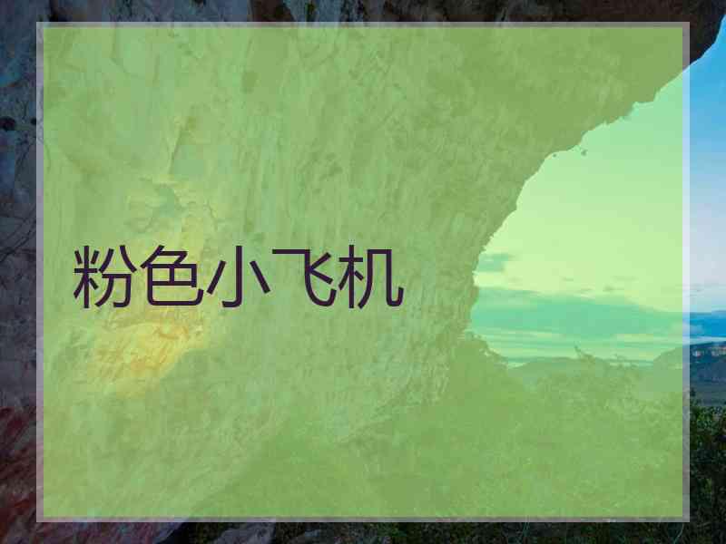 粉色小飞机