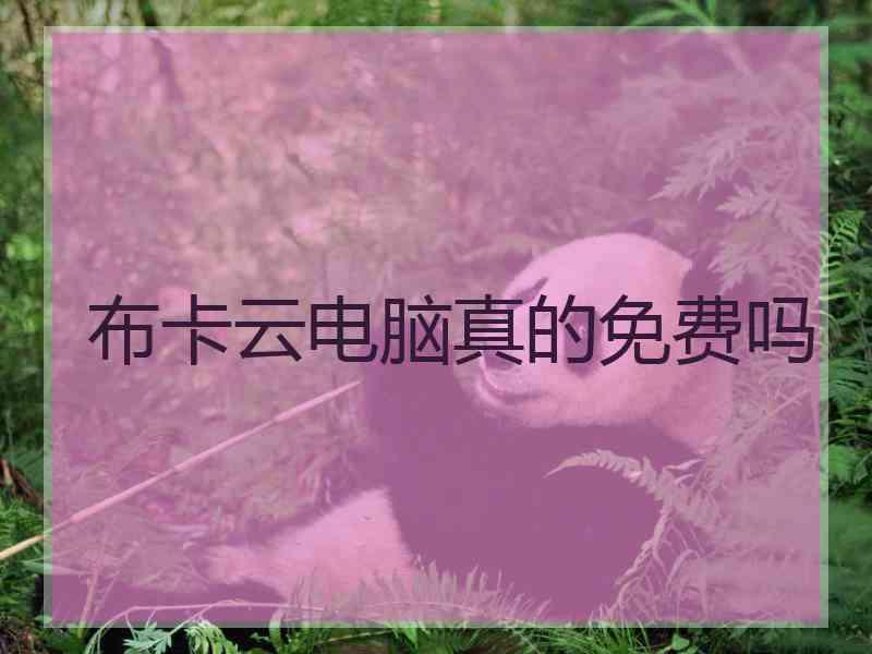 布卡云电脑真的免费吗