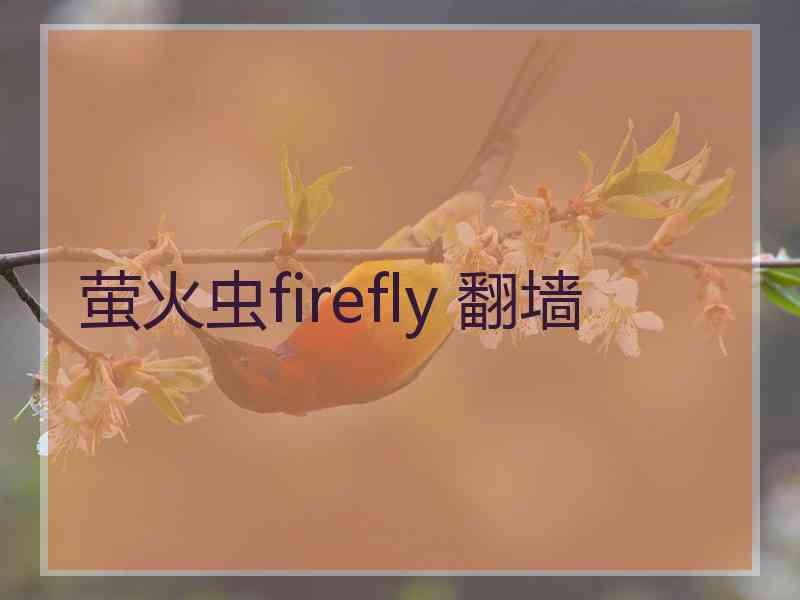 萤火虫firefly 翻墙