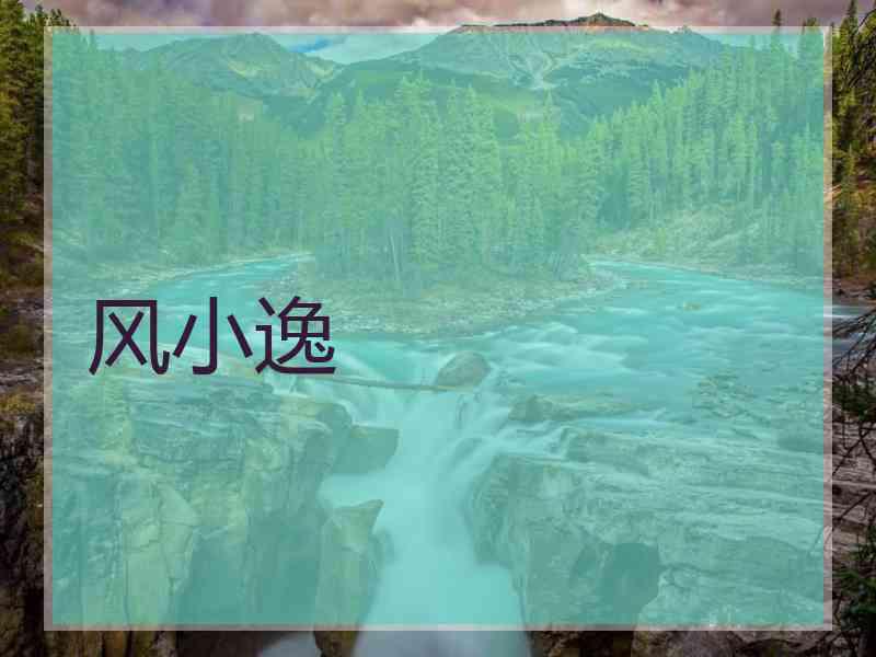 风小逸