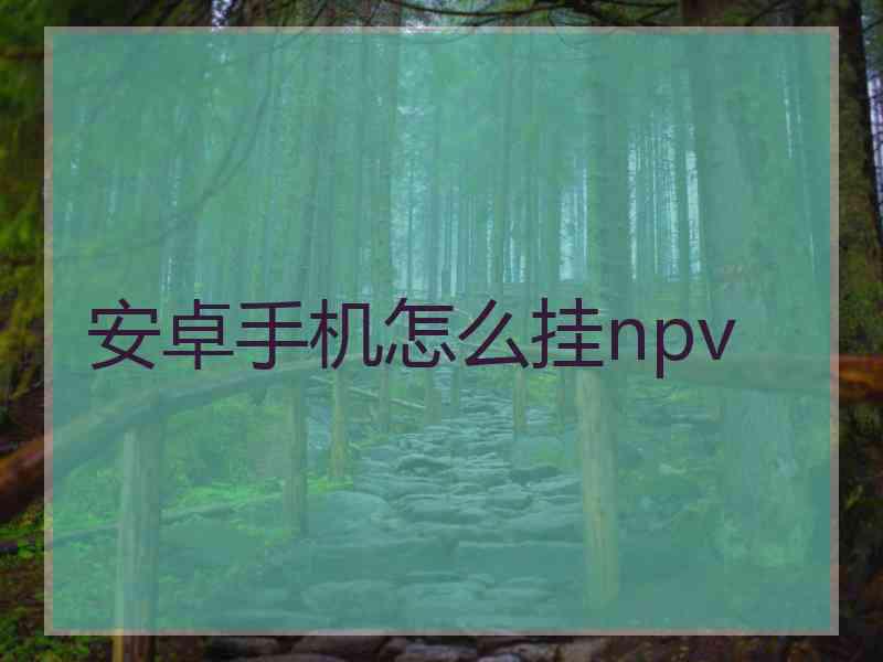 安卓手机怎么挂npv