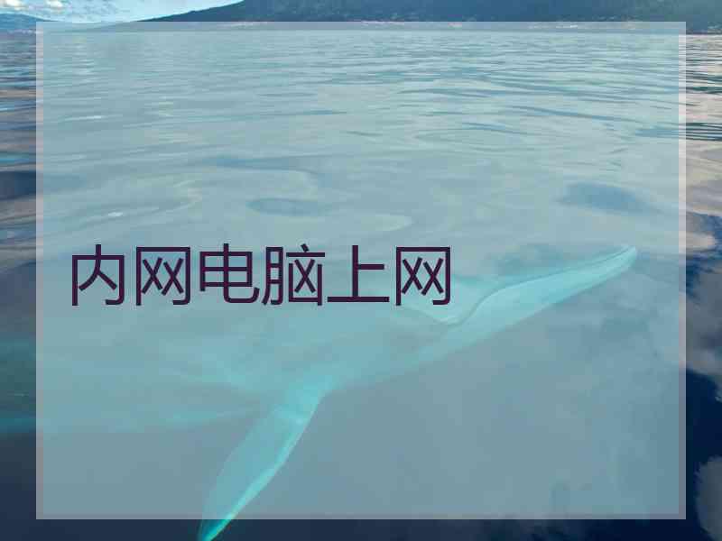 内网电脑上网