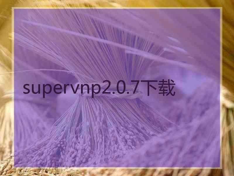 supervnp2.0.7下载