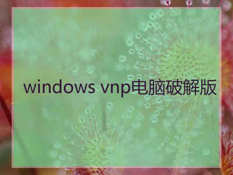 windows vnp电脑破解版