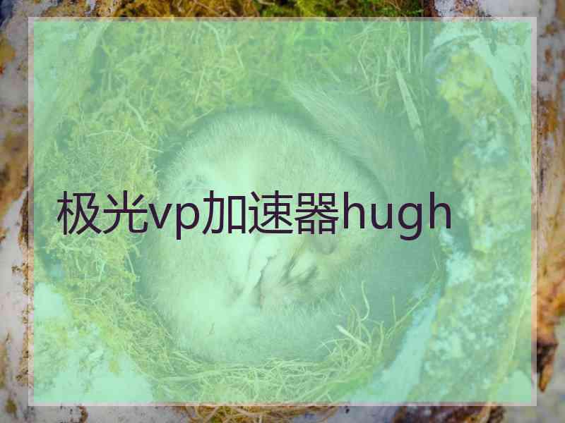 极光vp加速器hugh