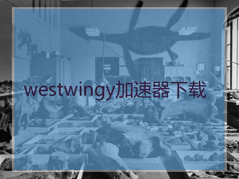 westwingy加速器下载