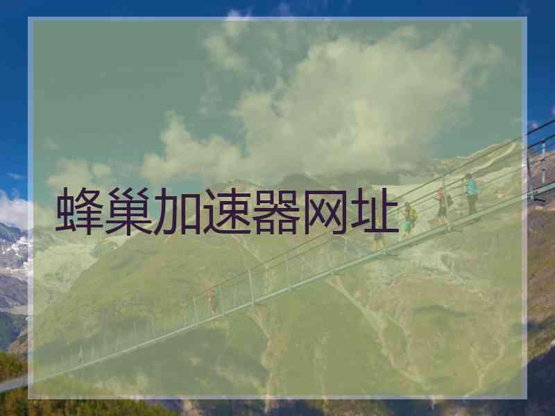蜂巢加速器网址
