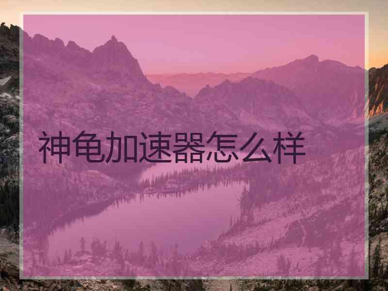 神龟加速器怎么样