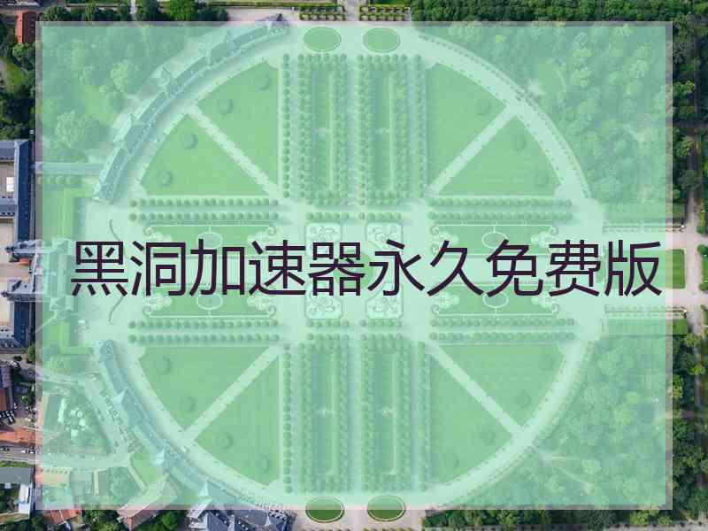 黑洞加速器永久免费版