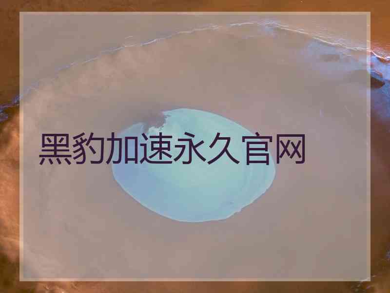 黑豹加速永久官网