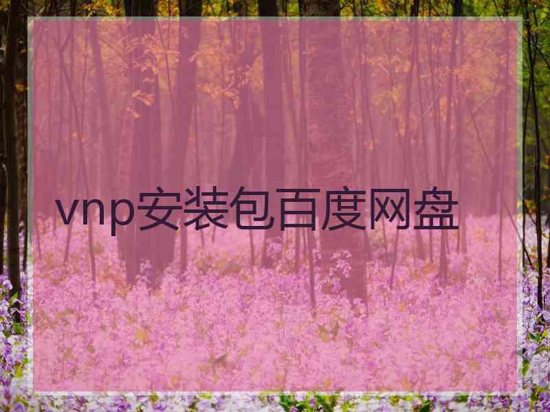 vnp安装包百度网盘