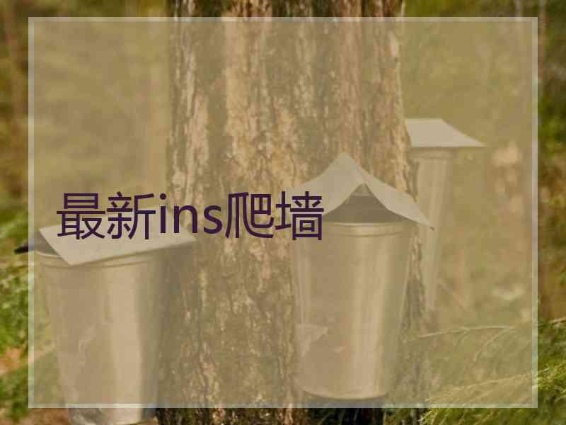 最新ins爬墙