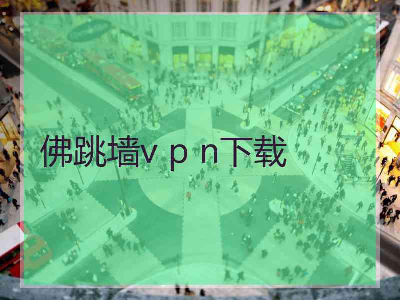 佛跳墙v p n下载